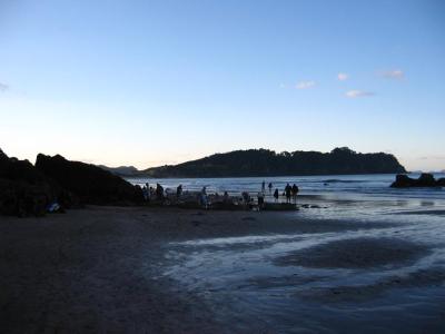 Hot Water Beach Hot Water Beach